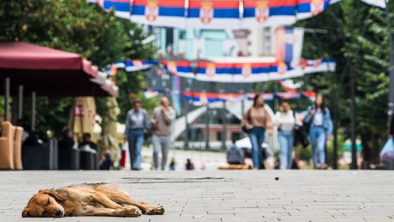 Mitrovica Pic: Alex Rossi Kosovë