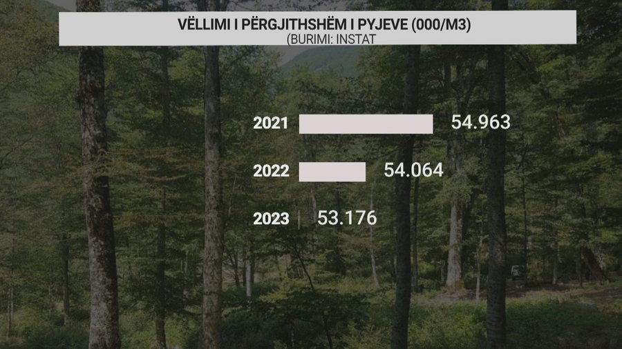 Në Shqipëri ka më pak pyje! Zjarret dhe prerjet ulën me 18%